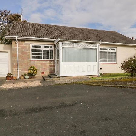 Honesty Cottage Girvan Buitenkant foto